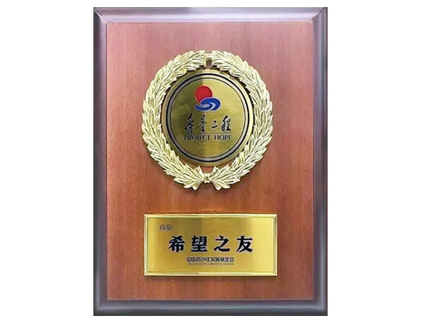 2022新时代希望工程系列主题活动希望之友